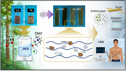 Alkali Lignin and Lignosulfonate Tune Strength, Extensibility, and ...