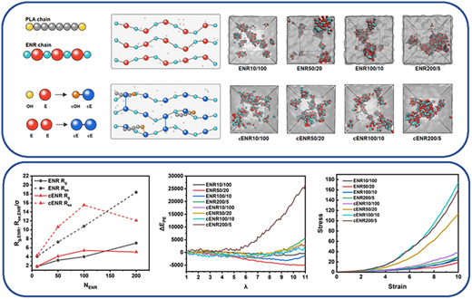 Molecular Dynamics Simulation Insight into the Aggregate Structure ...