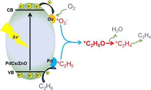 Stabilization of an Ethoxy-Mediated Pathway over Cs-Modified Pd/ZnO ...