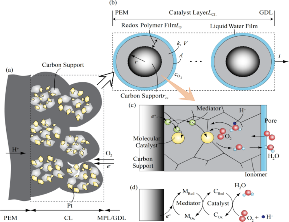 Figure 1. Refer to the image caption for details.