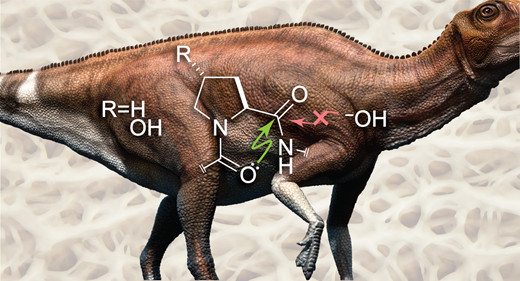 MITの化学者が、恐竜のコラーゲンが何百万年も生き延びた理由を説明した(MIT chemists explain why dinosaur collagen may have survived for millions of years)