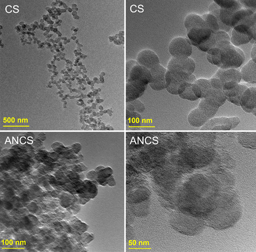 Figure 2. Refer to the image caption for details.