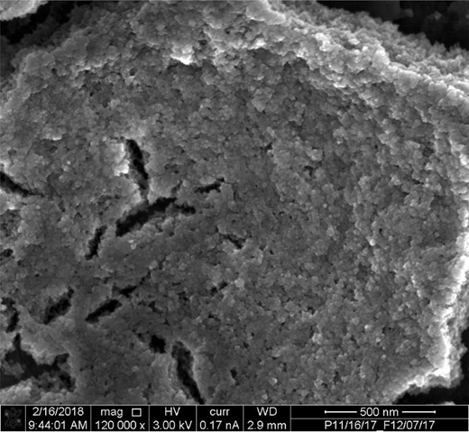 深部水層帯プログラムの研究がACSジャーナルの表紙を飾る(Deep Vadose Zone Program Research Makes ACS Journal Cover)