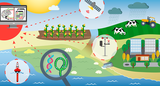 AIは有毒な「青潮」の予測に役立つ(AI can help forecast toxic “blue-green tides”) AIは有毒な「青潮」の予測に役立つ(AI can help forecast toxic “blue-green tides”)