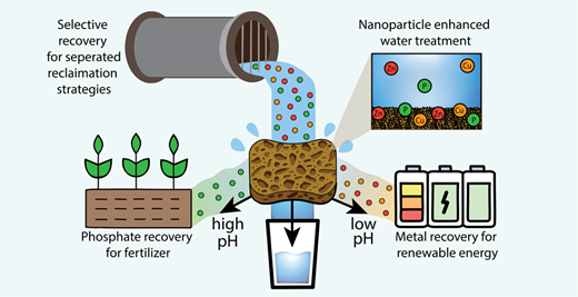 汚染物質を吸収しつつ貴重な鉱物を保存するスポンジ素材(This sponge soaks up pollutants but saves valuable minerals)