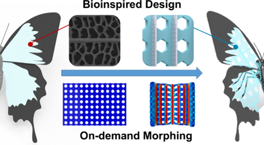バタフライインスパイア4Dプリンティング技術が精密なマイクロ・ナノ変形を実現 (Butterfly-inspired 4D Printing of Smart Hydrogels Enables Precise Micro-nano Deformation)