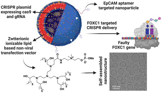 GPSナノ粒子プラットフォームががん細胞に治療ペイロードを正確に送達(GPS nanoparticle platform precisely delivers therapeutic payload to cancer cells)