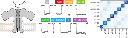 ナノ細孔とディープラーニングが病気の診断を変える(Nanopores and deep learning change disease diagnostics) ナノ細孔とディープラーニングが病気の診断を変える(Nanopores and deep learning change disease diagnostics)