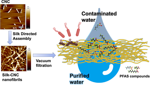 新しい濾過材が水から長期にわたる化学物質を除去する可能性(New filtration material could remove long-lasting chemicals from water)