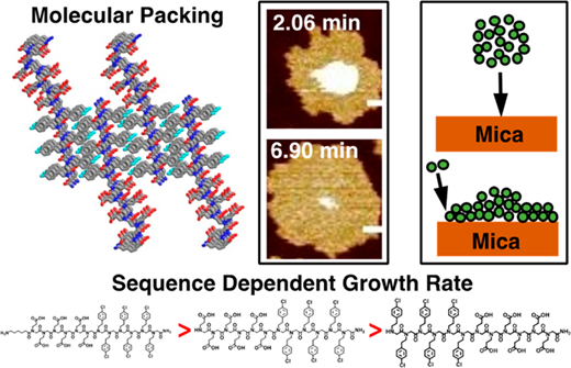 ペプトイド配列が2次元集合のメカニズムと動態に及ぼす影響(Influence of Peptoid Sequence on the Mechanisms and Kinetics of 2D Assembly)