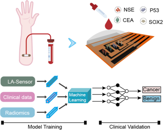 Machine Learning-Assisted Multimodal Early Screening of Lung Cancer ...