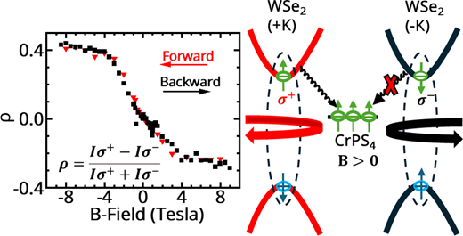 反強磁性体の磁気挙動を光学的に検出する新手法を開発（UD researchers develop optical method to detect magnetic behavior of antiferromagnets）