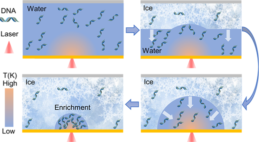 Optothermal Ice-Water Interface Management for Cross-Scale Enrichment and Molecular Sensing — figure 1 of 1