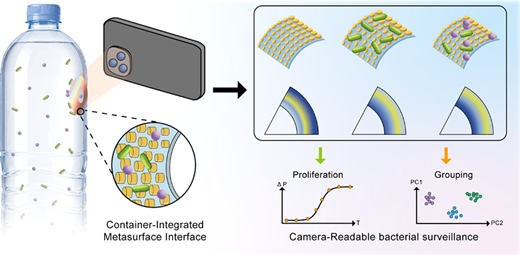 Container-Integrated Plasmonic Metasurface Interfaces for Camera ...