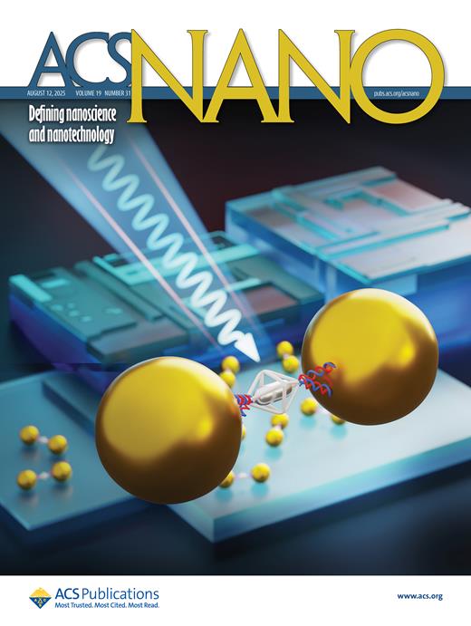 Photochromic Cu-TiO2 Nanocatalysts for Visible-Light-Triggered C−Cl ...