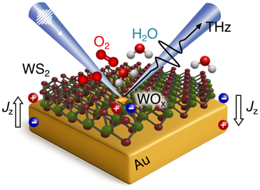 Interfacial Control of Hot-Carrier Extraction and Photostability in Two ...