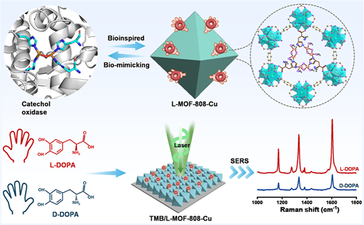 Enantioselective Surface-Enhanced Raman Scattering Enabled by a ...