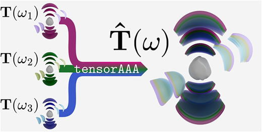 The Rational Model Example Pole-Expansion of the T-Matrix Based on a Matrix-Valued AAA-Algorithm ...