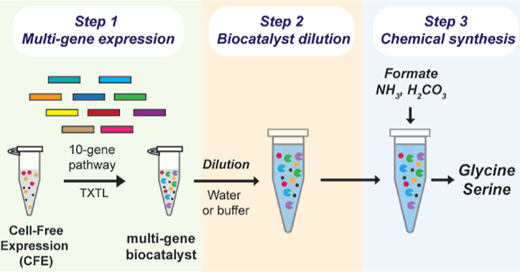 必須アミノ酸を生産する新しいカーボン・マイナス法(A New Carbon-Negative Method to Produce Essential Amino Acids) 必須アミノ酸を生産する新しいカーボン・マイナス法(A New Carbon-Negative Method to Produce Essential Amino Acids)
