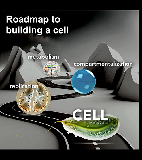 研究者らが合成細胞開発に関する「創設文書」を作成(Researchers Develop ‘Founding Document’ on Synthetic Cell Development)