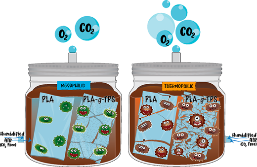 容易に堆肥化できるバイオプラスチック (Making bioplastics that are easier to compost)