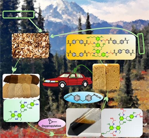 プラスチックフォームのための植物由来代替物を開発 (Plant-based Substitute for Fossil Fuels Developed for Plastic Foams)