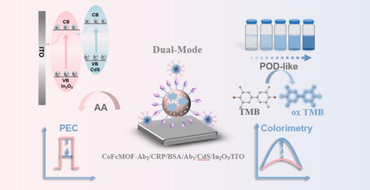 Abstract Universal Principles A Bifunctional CoFcMOF Nanozyme Enables Dual-Mode PEC-Colorimetric ...