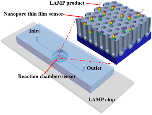 新しいセンサーチップが迅速で費用対効果の高い病害診断を進歩させる(New sensor chip advances rapid, cost-effective disease diagnostics)