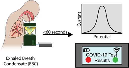 COVID-19ウイルスを迅速に検出する呼気テストを開発(Scientists develop breath test that rapidly detects COVID-19 virus)