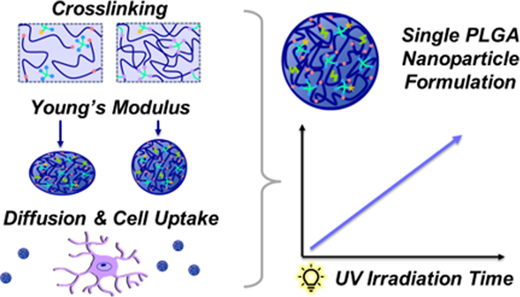 Decoupling the Role of Nanoparticle Rigidity and Chemistry in Particle ...