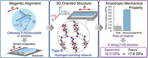 Three-Dimensional Magnetic Alignment of Cellulose II Microcrystals for ...