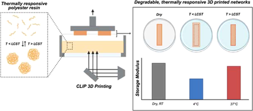 Thermally Responsive 3D Printed Polyester Networks | Biomacromolecules ...