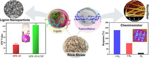 Integrated Upcycling of Rice Straw into Electrospun Nanocellulose ...