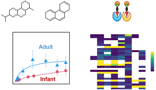木材煙汚染物質の代謝を理解する: 早期のPAHs曝露への影響(Understanding Metabolism of Wood Smoke Pollutants: Implications for Early Life Exposure to PAHs) 木材煙汚染物質の代謝を理解する: 早期のPAHs曝露への影響(Understanding Metabolism of Wood Smoke Pollutants: Implications for Early Life Exposure to PAHs)