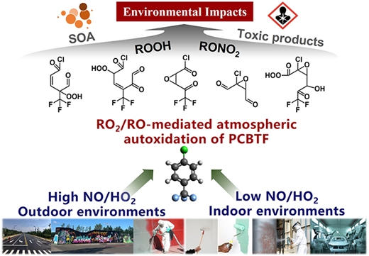 Atmospheric Oxidation
and Toxicity Evolution of Chlorobenzotrifluoride
from Solvent-Based Paints: Implications for Environmental and Health
Risk Assessment