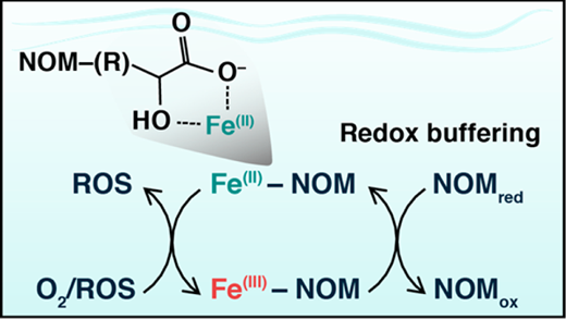 Complexation and Redox Buffering of Iron(II) by Dissolved Organic ...