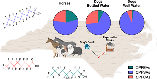 ノースカロライナ州フェイエットビル近郊に住む犬と馬の血液からPFASが検出される(PFAS Found in Blood of Dogs, Horses Living Near Fayetteville, N.C)