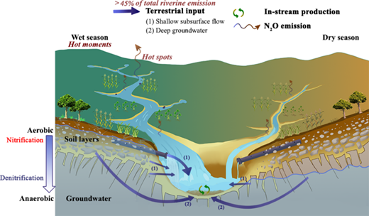 農場近くの小川は高レベルの温室効果ガスを排出していることが研究で判明(Streams near farms emit high levels of greenhouse gas, studies find)