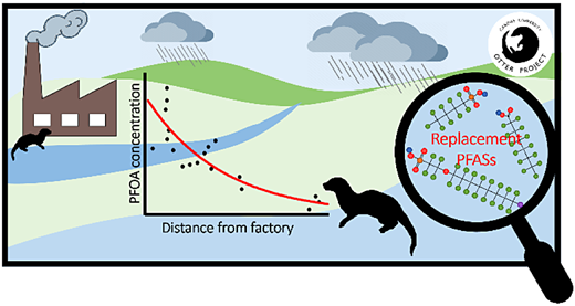 イギリスのカワウソから「永遠の化学物質」が発見される(‘Forever chemicals’ found in English otters) イギリスのカワウソから「永遠の化学物質」が発見される(‘Forever chemicals’ found in English otters)