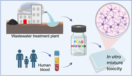 永遠の化学物質の混合物としての毒性研究(It all adds up: Study finds forever chemicals are more toxic as mixtures)