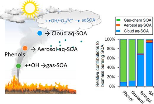 バイオマス燃焼ガスが雲の中で反応し、二次有機エアロゾルを形成する(Biomass Burning Gases React Within Clouds, Forming Secondary Organic Aerosols)