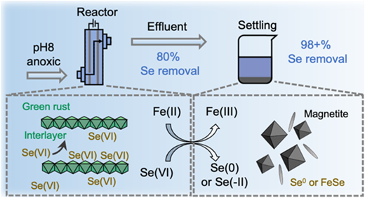 鉄を用いたセレン除去技術を開発（Removing Selenium from Water Takes Iron Strength）
