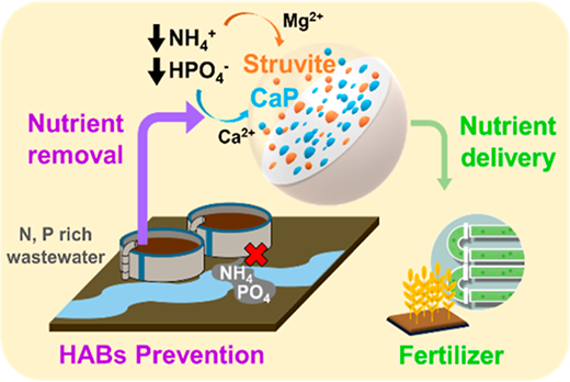 水廃棄物を肥料に変える新型ハイドロゲル（New hydrogel treatments turn water waste into fertilizer）