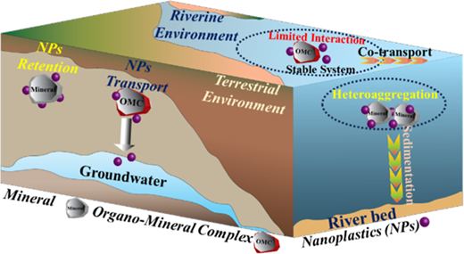 Impact of Minerals (Ferrihydrite and Goethite) and Their Organo-Mineral ...