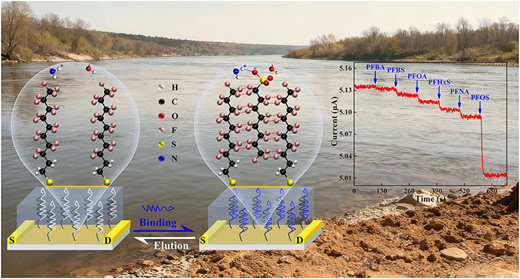 Rapid and Accurate Detection of Perfluorooctanesulfonic Acid in ...
