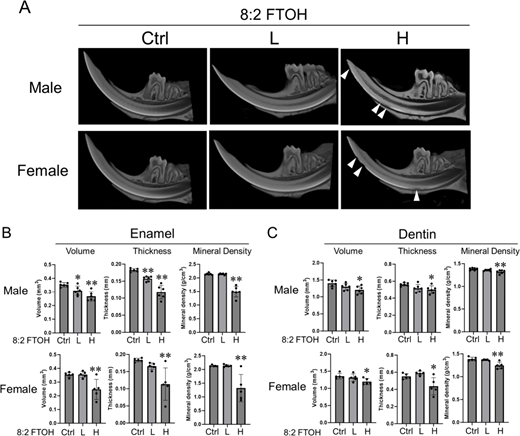 Figure 6. Refer to the image caption for details.