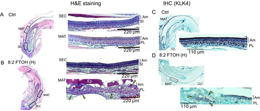 Figure 7. Refer to the image caption for details.