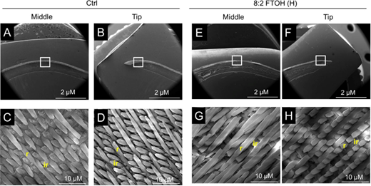 Figure 8. Refer to the image caption for details.