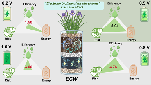 A Potential Difference-Driven Cascade Effect of Cathode Biofilm–Plant ...