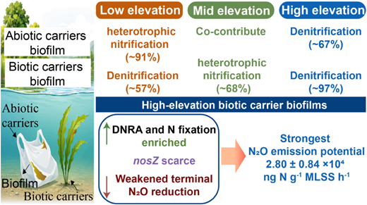 Elevation Amplifies Carrier-Type Differences in Nitrogen Cycling and ...